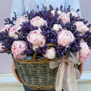 Корзина из 21 розового пиона с веточками лаванды